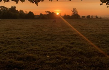 DofE 9