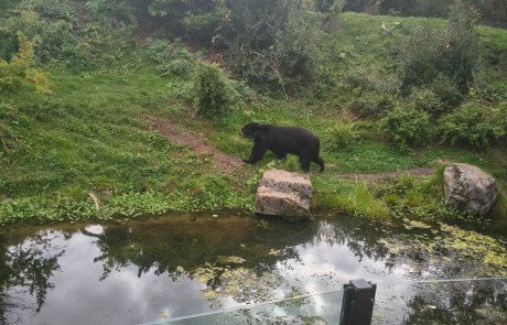 image5 (2)